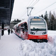 Tatranská električkozubačka VI.